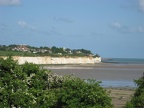 IMG 2627 01