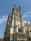 IMG 2950 01
