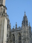 IMG 2998 01